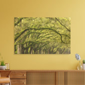 USA; Georgien; Savannah. Eichenbäume Leinwanddruck (Insitu (Wohnzimmer))