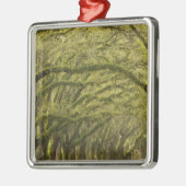  USA; Georgien; Savannah. Eichenbäume mit Ornament Aus Metall (Links)