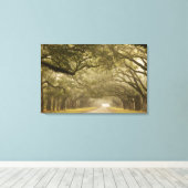 USA, Georgien, Savannah, Ein eisengesäumter Antrie Leinwanddruck (Insitu (Holzboden))