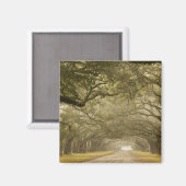 USA, Georgien, Savannah, Ein eisengesäumter Antrie Magnet (Vorderseite/Rückseite)