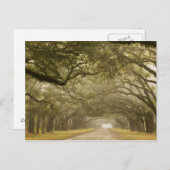 USA, Georgien, Savannah, Ein eisengesäumter Antrie Postkarte (Vorne/Hinten)