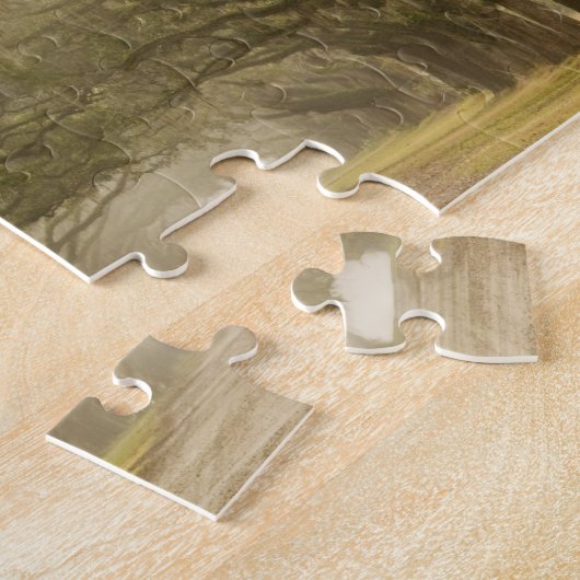 USA, Georgien, Savannah, Ein eiserner Fahrtweg in Puzzle (Seite)