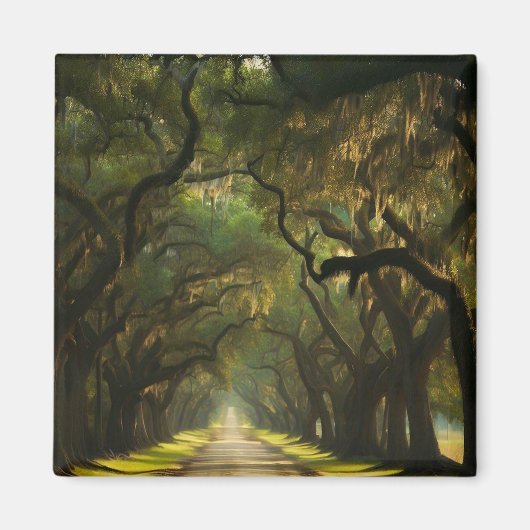 USA, Georgien, Savannah, Eine eiserne Fahrbahn Magnet (Vorne)