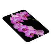 USA, Georgien, Savannah, Orchideencluster 2 Magnet (Rechte Seite)