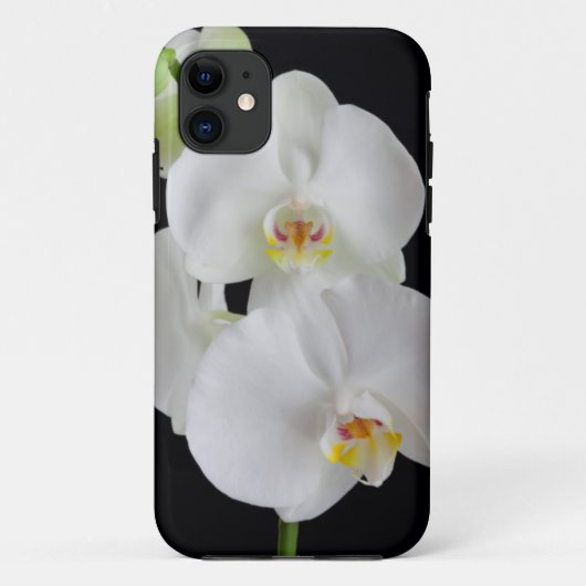 USA, Georgien, Savannah, Orchideencluster Case-Mate iPhone Hülle (Rückseite)