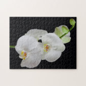 USA, Georgien, Savannah, Orchideencluster Puzzle (Horizontal)