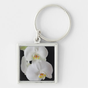 USA, Georgien, Savannah, Orchideencluster Schlüsselanhänger