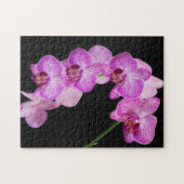 USA, Georgien, Savannah, Orchids-Cluster 2 Puzzle (Horizontal)