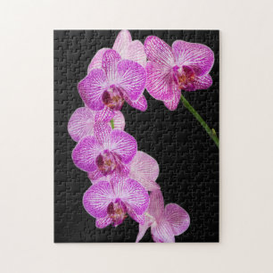USA, Georgien, Savannah, Orchids-Cluster 2 Puzzle