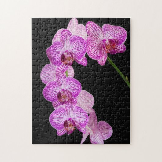 USA, Georgien, Savannah, Orchids-Cluster 2 Puzzle (Vertikal)