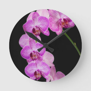 USA, Georgien, Savannah, Orchids-Cluster 2 Runde Wanduhr