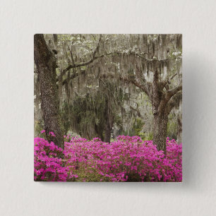 USA, Georgien, Savannah, Spring at Historic Button
