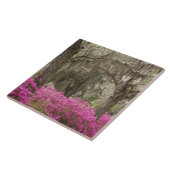USA, Georgien, Savannah, Spring at Historic Fliese (Seite)