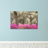 USA, Georgien, Savannah, Spring at Historic Leinwanddruck (Insitu (Holzboden))