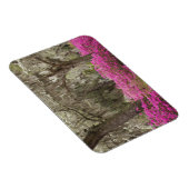 USA, Georgien, Savannah, Spring at Historic Magnet (Rechte Seite)