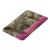 USA, Georgien, Savannah, Spring at Historic Magnet (Linke Seite)