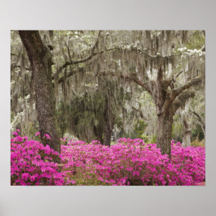 USA, Georgien, Savannah, Spring at Historic Poster