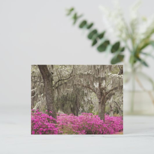USA, Georgien, Savannah, Spring at Historic Postkarte (Stehend Vorderseite)