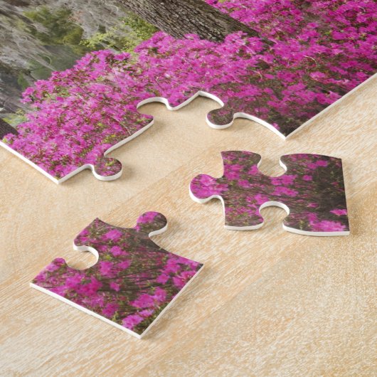 USA, Georgien, Savannah, Spring at Historic Puzzle (Seite)