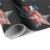 USA Geschenkpapier (Rolleneckpunkt)