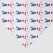USA golf America flagge golfer Seidenpapier (Ausschnitt)