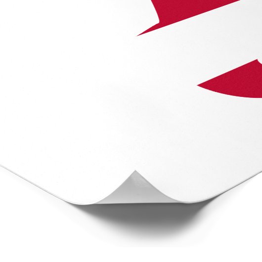 USA Golf American Flag Golfer Poster (Ecke)