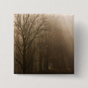 USA Great Smoky Mountain NP Tennessee Bäume in Button