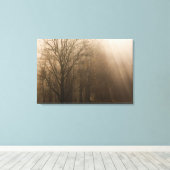 USA Great Smoky Mountain NP Tennessee Bäume in Leinwanddruck (Insitu (Holzboden))