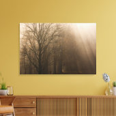 USA Great Smoky Mountain NP Tennessee Bäume in Leinwanddruck (Insitu (Wohnzimmer))