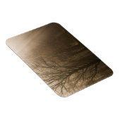 USA Great Smoky Mountain NP Tennessee Bäume in Magnet (Rechte Seite)