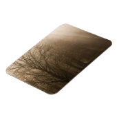 USA Great Smoky Mountain NP Tennessee Bäume in Magnet (Linke Seite)