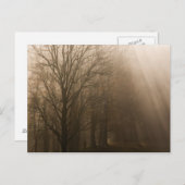 USA Great Smoky Mountain NP Tennessee Bäume in Postkarte (Vorne/Hinten)