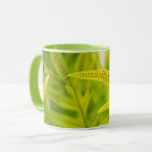 USA, Hawaii, Big Island. Grünfutter Tasse (Vorderseite Links)