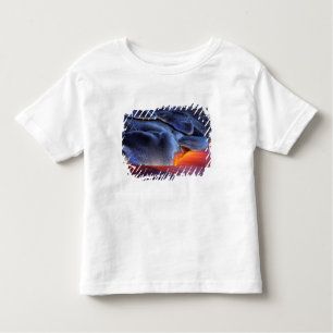 USA, Hawaii, Big Island, Kilauea, Volcanoes NP, Kleinkind T-shirt