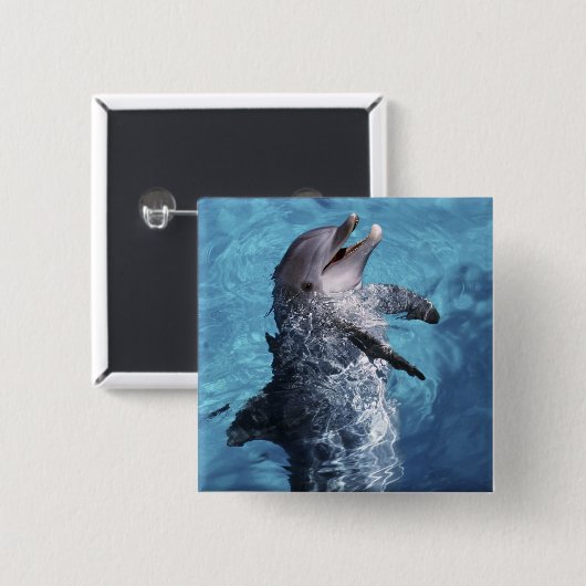 USA, Hawaii. Delfin Button (Vorne & Hinten)