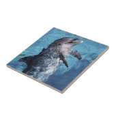 USA, Hawaii. Delfin Fliese (Seite)