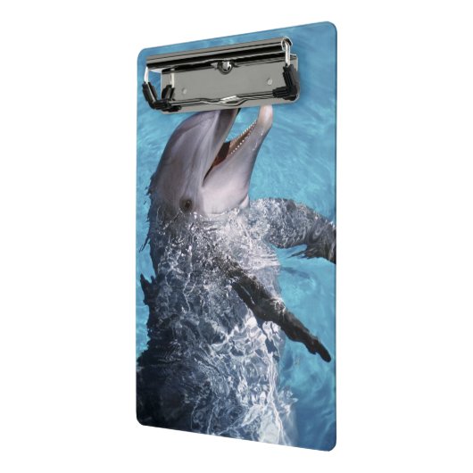 USA, Hawaii. Delfin Mini Klemmbrett (Gewinkelt2)