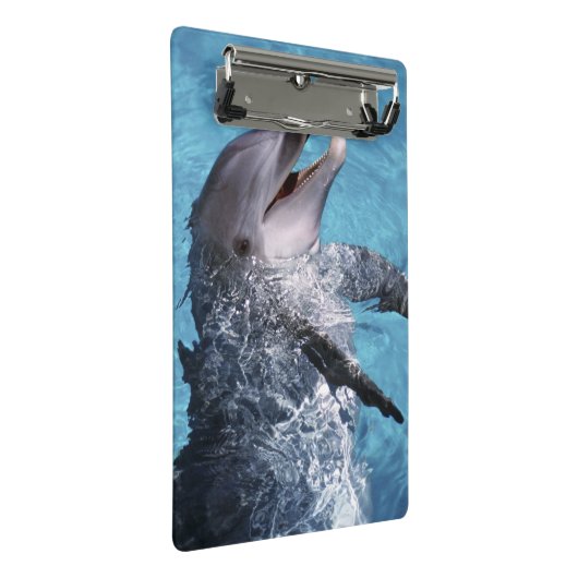 USA, Hawaii. Delfin Mini Klemmbrett (Schrägansicht)