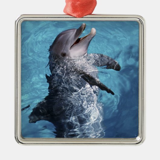 USA, Hawaii. Delfin Ornament Aus Metall (Vorne)