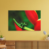 USA, Hawaii, Hilo. Heliconia Leinwanddruck (Insitu (Wohnzimmer))
