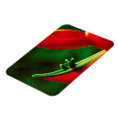 USA, Hawaii, Hilo. Heliconia Magnet (Linke Seite)