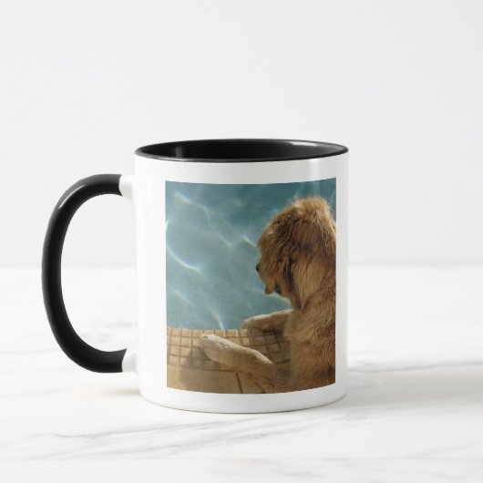 USA, Hawaii, Honolulu Tasse (Links)