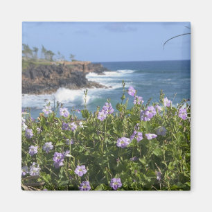 USA, Hawaii, Kauai, bei Kapaa, Nordwest Magnet