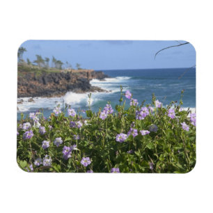 USA, Hawaii, Kauai, bei Kapaa, Nordwesten Magnet