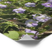 USA, Hawaii, Kauai, bei Kapaa, Nordwesten Poster (Ecke)