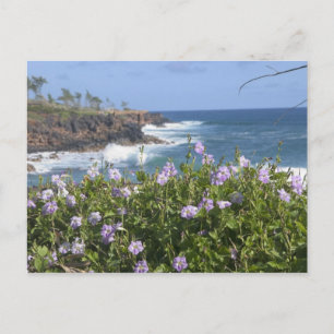 USA, Hawaii, Kauai, bei Kapaa, Nordwesten Postkarte