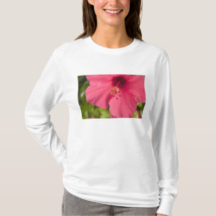 USA, Hawaii, Kauai, Hibiskus T-Shirt