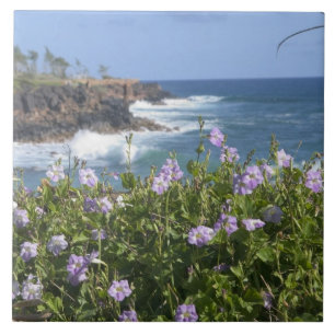 USA, Hawaii, Kauai, in der Nähe von Kapaa, Nordwe Fliese