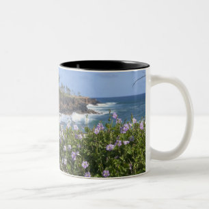 USA, Hawaii, Kauai, in der Nähe von Kapaa, Nordwe Zweifarbige Tasse