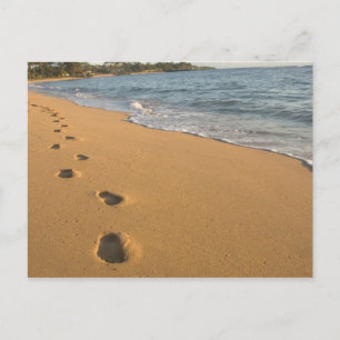 USA, Hawaii, Kauai, Kapa'a, direkt am Strand. RF) Postkarte